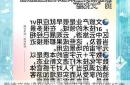 常德文旅进化论：元宇宙不是文化终结者，而是历史新载体